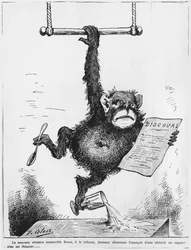 Caricature of Paul Broca, Illustration from 